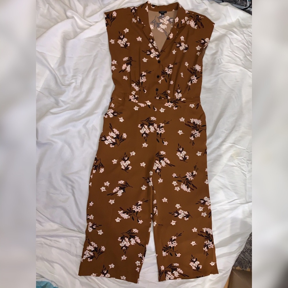 Ann Taylor Romper, Brown, Petite Large